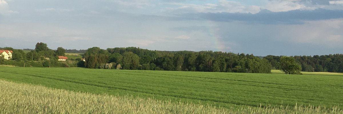 Landwirtschftliche Fläche in Wörthsee
