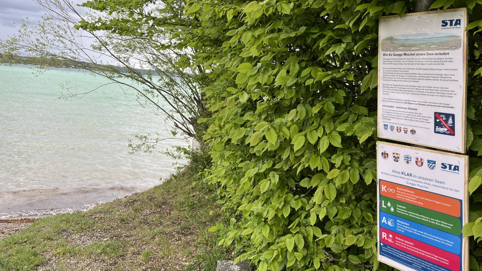 Plakate Quagga-Muschel Wörthsee